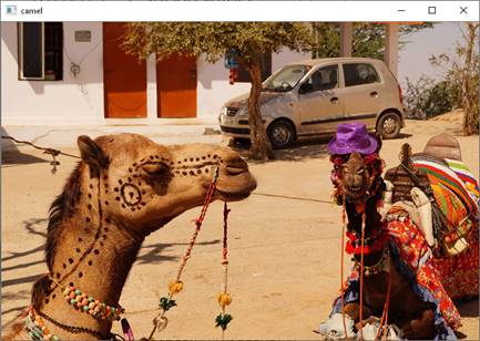 Cartoon Effect And Pencil Sketch Using Open CV In Python